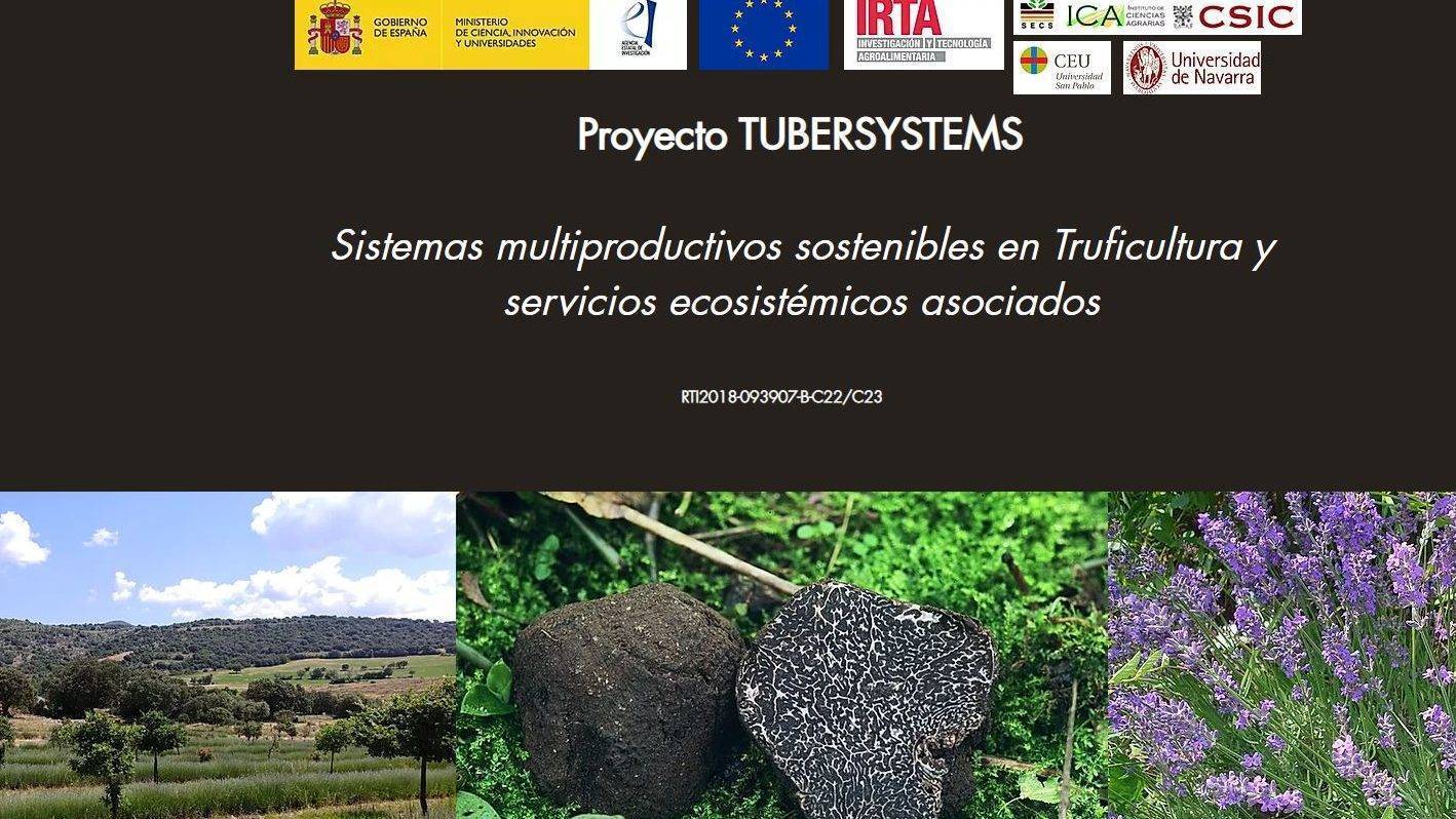 Tubersystems|trufa negra